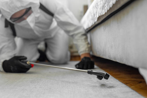 Professional Termite Control technician working in Tracy City, TN
